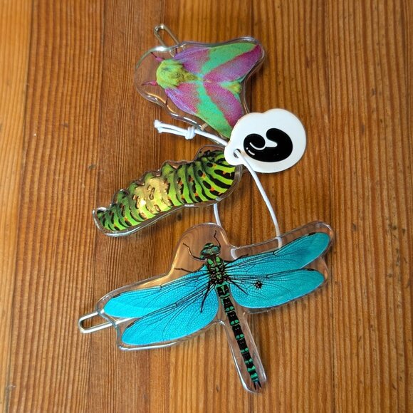Chunks Insect Hair Clips "Critter Pack" - Picture 1 of 5
